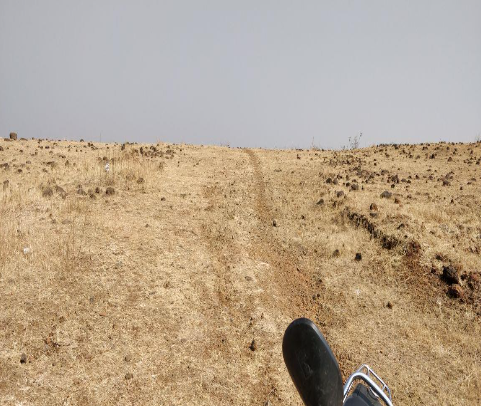 Real estate agents in pune 52