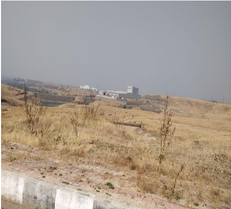 Real estate agents in pune 53