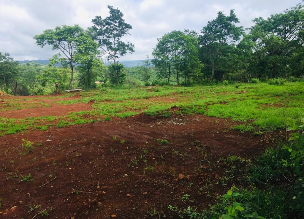 Agricultural Land/ Plot For Sale in Rule, Pune, Maharashtra. 